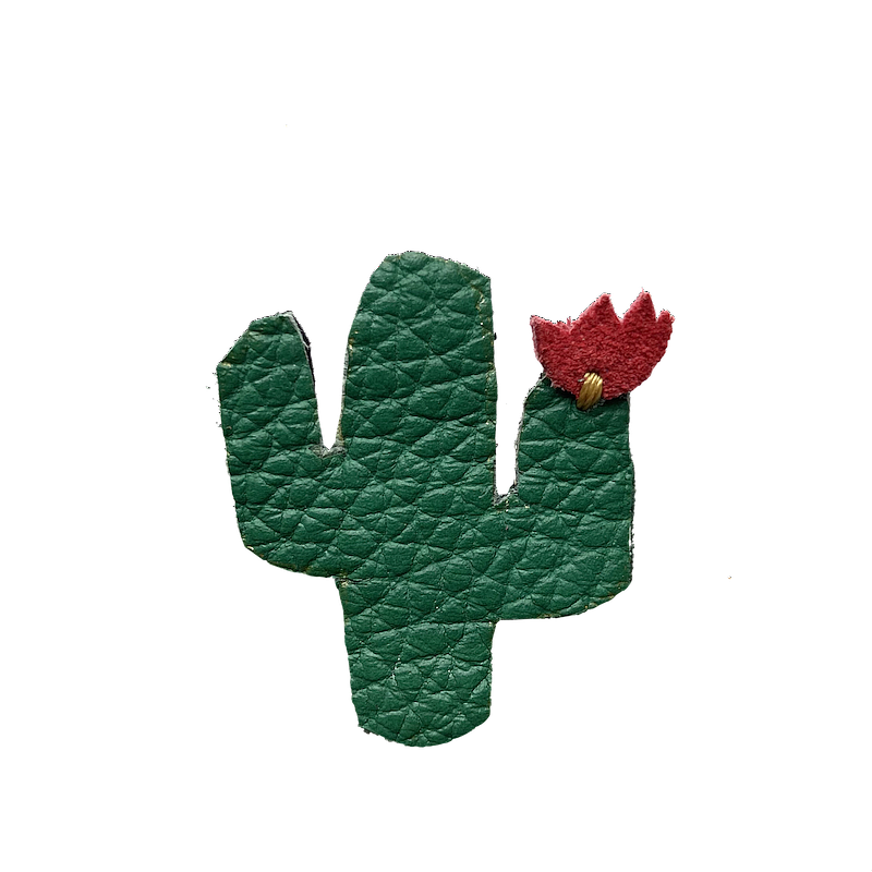 pin_s mil cactus - copie